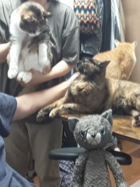 結婚記念日に、健康診断を予約するのはもうやめよう