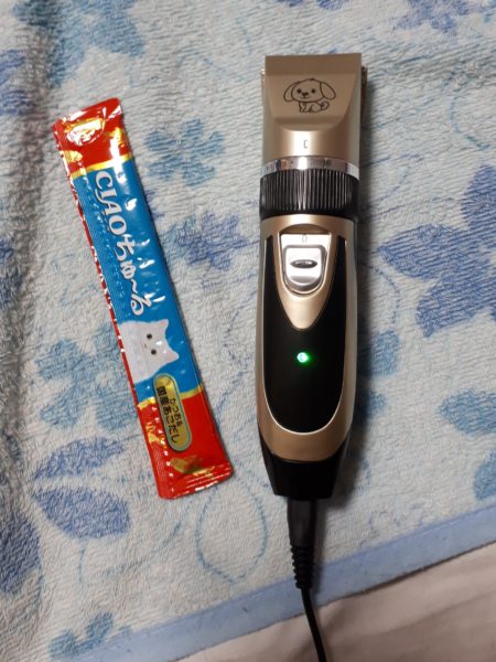 猫の熱中症予防対策【バリカンで自己責任サマーカット】