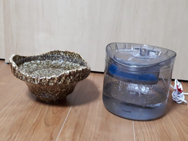 今年の猫の熱中症&便秘予防対策【給水器導入してみた…けど。】