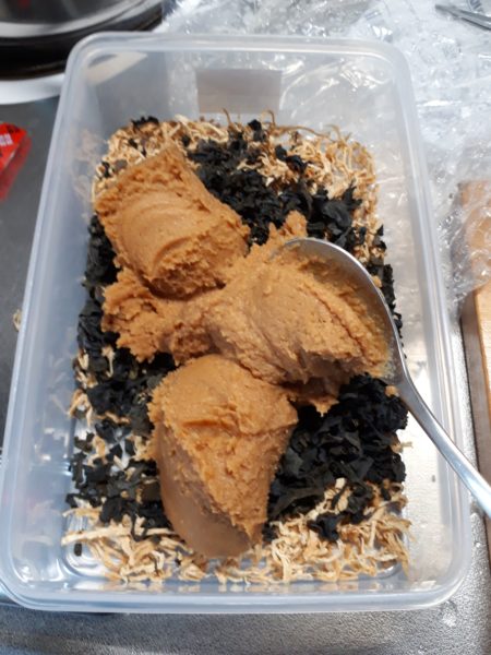 減塩と節約と時短の為、味噌玉(味噌汁の素)を作ってみた。