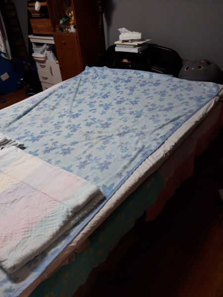 原因不明のひどいカビ臭=ペットの抜け毛×湿気