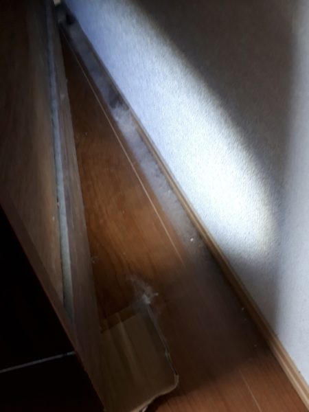 原因不明のひどいカビ臭=ペットの抜け毛×湿気