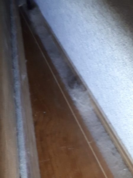 原因不明のひどいカビ臭=ペットの抜け毛×湿気