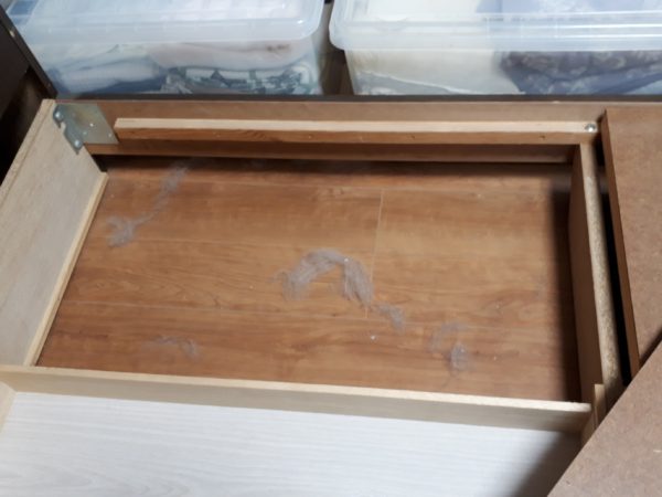 原因不明のひどいカビ臭=ペットの抜け毛×湿気