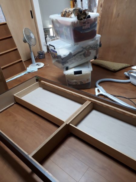 原因不明のひどいカビ臭=ペットの抜け毛×湿気