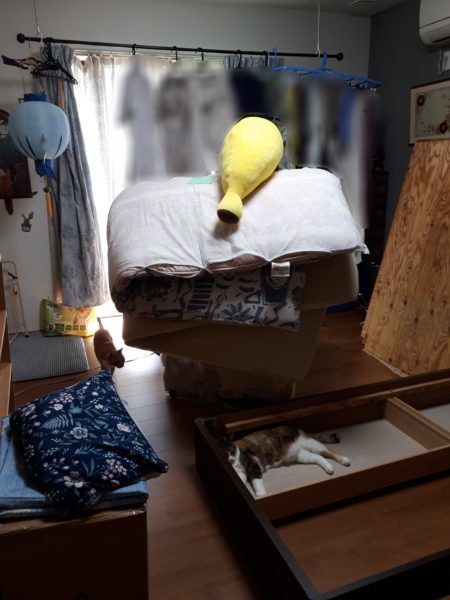 原因不明のひどいカビ臭=ペットの抜け毛×湿気