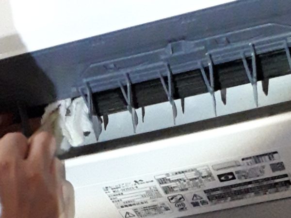 原因不明のひどいカビ臭=ペットの抜け毛×湿気