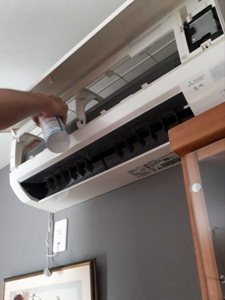 原因不明のひどいカビ臭=ペットの抜け毛×湿気