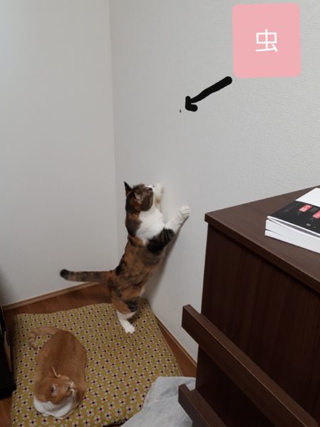 季節の変わり目の体調不良と、現実逃避に海までドライブ。