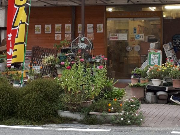 季節の変わり目の体調不良と、現実逃避に海までドライブ。