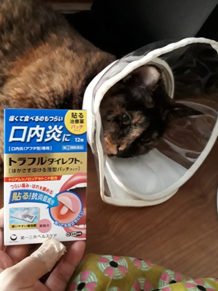 季節の変わり目の体調不良と、現実逃避に海までドライブ。