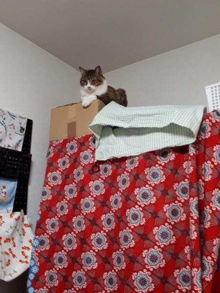 旦那が経費で色々買ったので、ついでに模様替えしてみた記録。