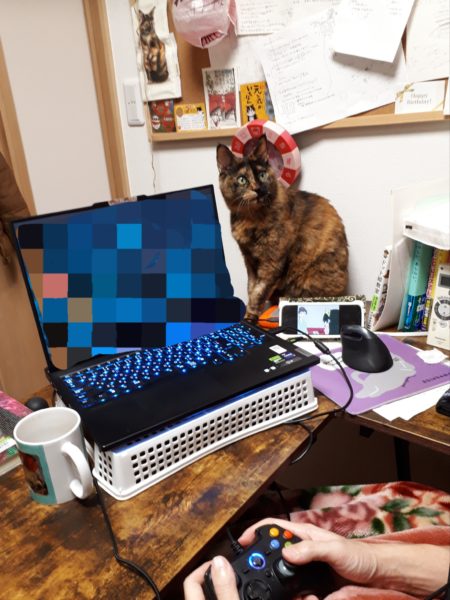 旦那が経費で色々買ったので、ついでに模様替えしてみた記録。