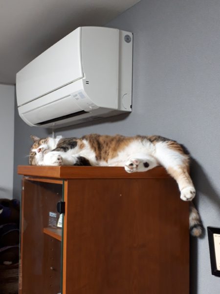 旦那が経費で色々買ったので、ついでに模様替えしてみた記録。