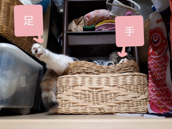 旦那が経費で色々買ったので、ついでに模様替えしてみた記録。