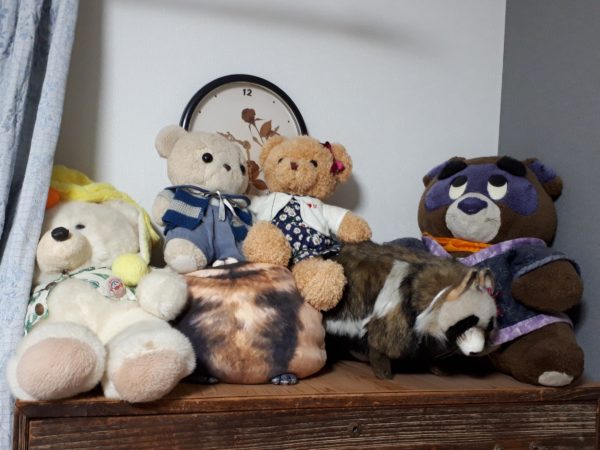 旦那が経費で色々買ったので、ついでに模様替えしてみた記録。