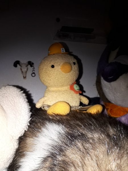 旦那が経費で色々買ったので、ついでに模様替えしてみた記録。