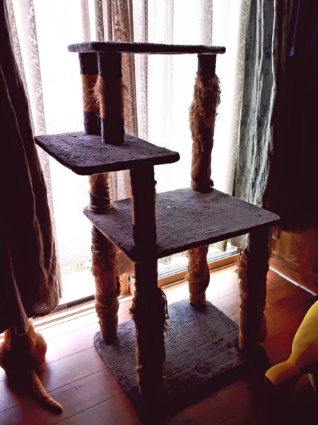 3代目キャットタワー購入。木製　掃除しやすい　毛付着なし