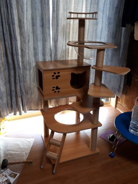 3代目キャットタワー購入。木製　掃除しやすい　毛付着なし