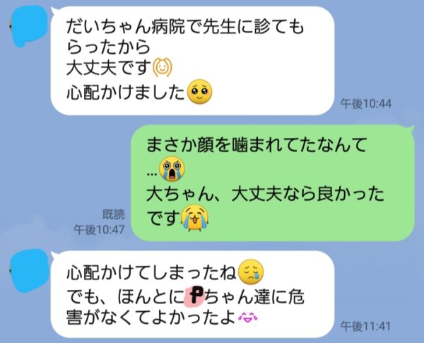 黒柴犬の大ちゃん、散歩中にマムシに噛まれる