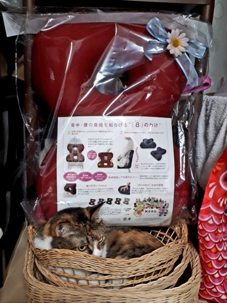 ぷこ母のお誕生日にバス旅行(香川まんのう公園など)