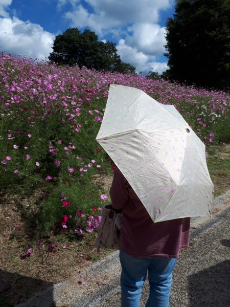 ぷこ母のお誕生日にバス旅行(香川まんのう公園など)