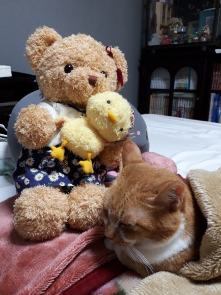 ぷこ母のお誕生日にバス旅行(香川まんのう公園など)