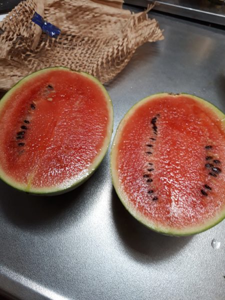 夏野菜の終わりと、目一杯食べた記録。家庭菜園 大量消費 キュウリ オクラ