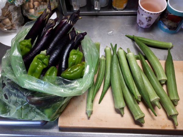 夏野菜の終わりと、目一杯食べた記録。家庭菜園 大量消費 キュウリ オクラ