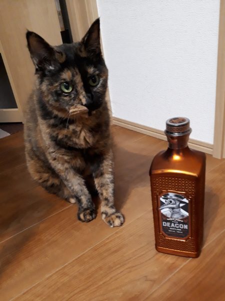 夏野菜の終わりと、目一杯食べた記録。家庭菜園 大量消費 キュウリ オクラ