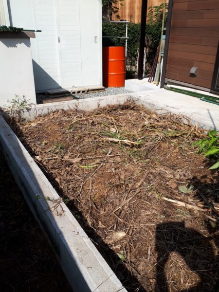 ちょっとずつの、お庭と畑の整備。