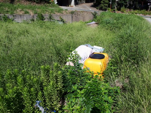 ちょっとずつの、お庭と畑の整備。