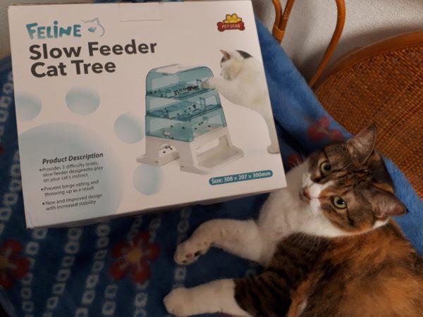 万博記念公園の蚤の市(ヴィンテージ マーケット)に行ってみた。