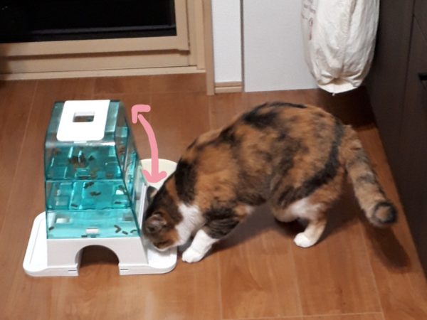 万博記念公園の蚤の市(ヴィンテージ マーケット)に行ってみた。