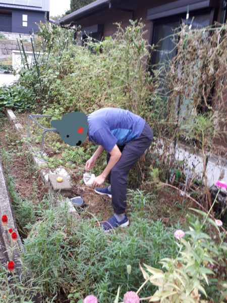 ちょっとずつの、お庭と畑の整備。