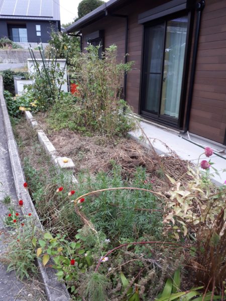 ちょっとずつの、お庭と畑の整備。