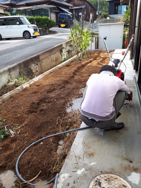 ちょっとずつの、お庭と畑の整備。