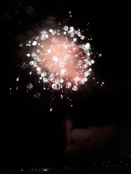 サビ猫ちぃたんの受難[肛門嚢炎→薬の副作用で軟便→膀胱炎→また副作用で嘔吐