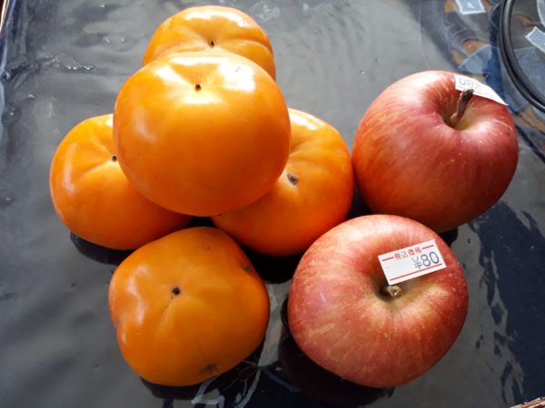 ぷこ母、夜中に転倒→脊椎圧迫骨折　在宅介護　70代　介護ベッド　レンタル