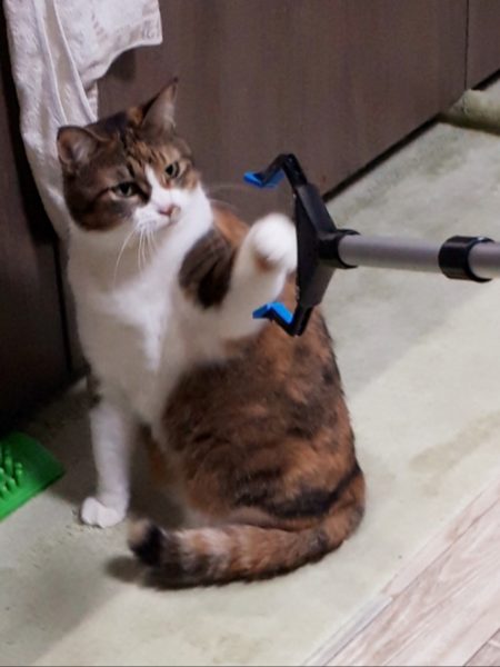 ぷこ母、夜中に転倒→脊椎圧迫骨折　在宅介護　70代　介護ベッド　レンタル