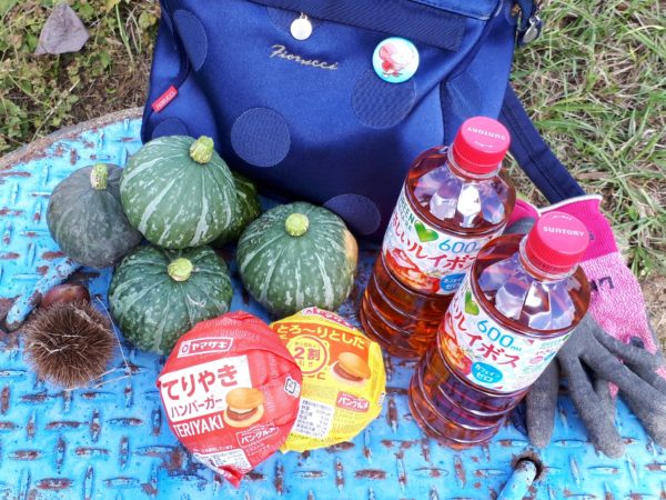 タマネギとニンニクの植え付け　家庭菜園　適当　放置