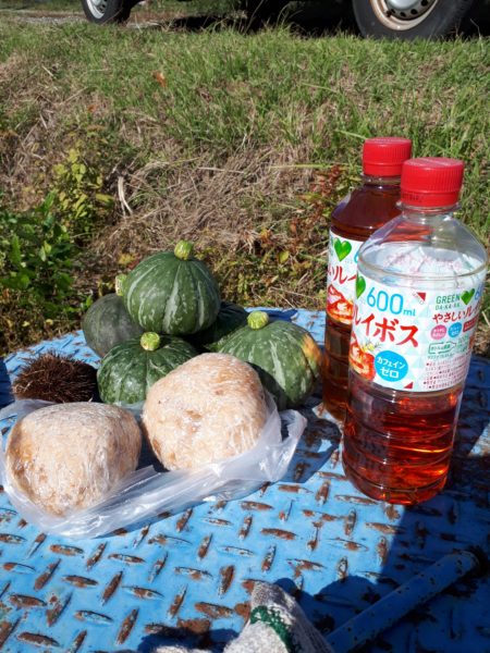 タマネギとニンニクの植え付け　家庭菜園　適当　放置