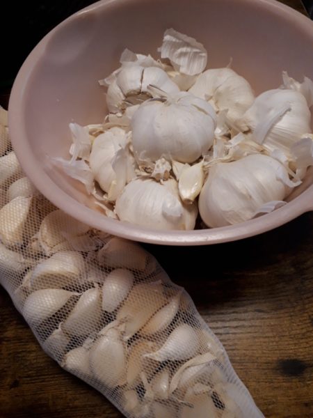 タマネギとニンニクの植え付け　家庭菜園　適当　放置