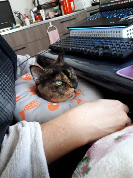 タマネギとニンニクの植え付け　家庭菜園　適当　放置