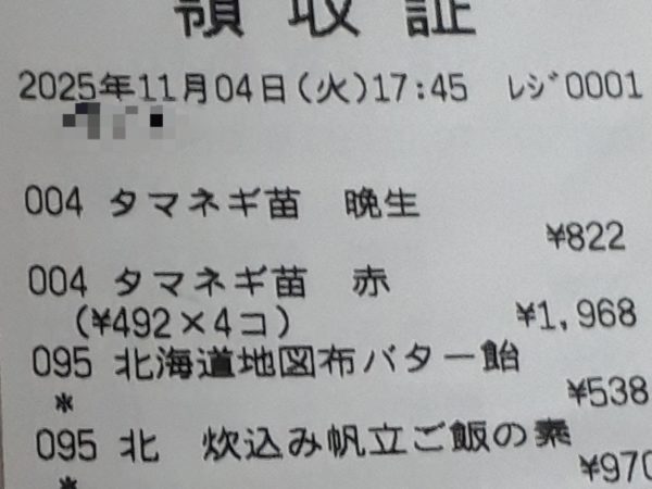 タマネギとニンニクの植え付け　家庭菜園　適当　放置