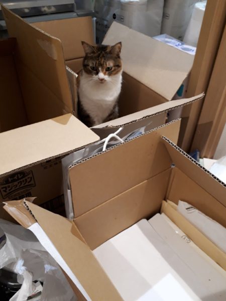 精神科病院を追い出され(？)グループホームに移った、統合失調症のぷこ兄