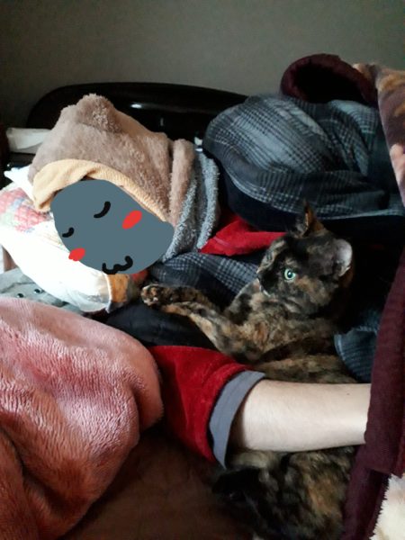 精神科病院を追い出され(？)グループホームに移った、統合失調症のぷこ兄