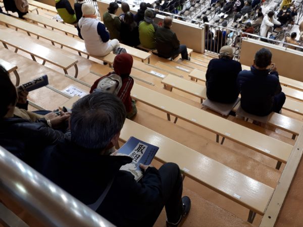 大相撲の巡業に行ってきた(圧迫骨折療養中のぷこ母と)