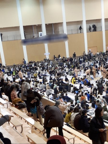 大相撲の巡業に行ってきた(圧迫骨折療養中のぷこ母と)