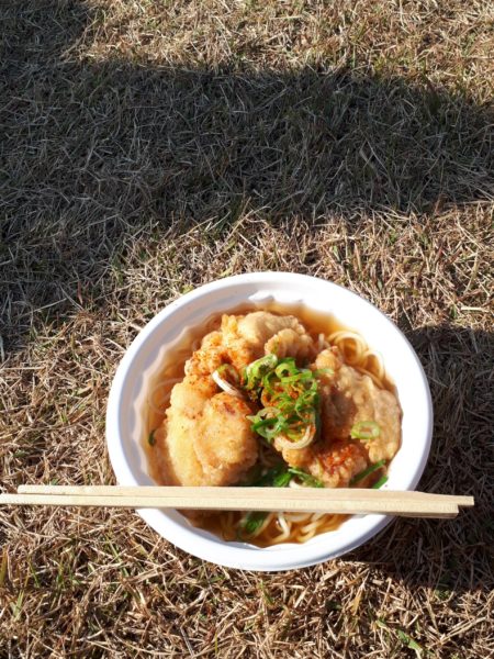 大相撲の巡業に行ってきた(圧迫骨折療養中のぷこ母と)